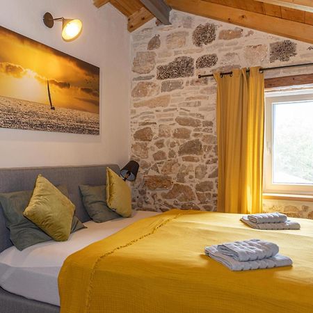 Villa Allegra Vižinada Extérieur photo